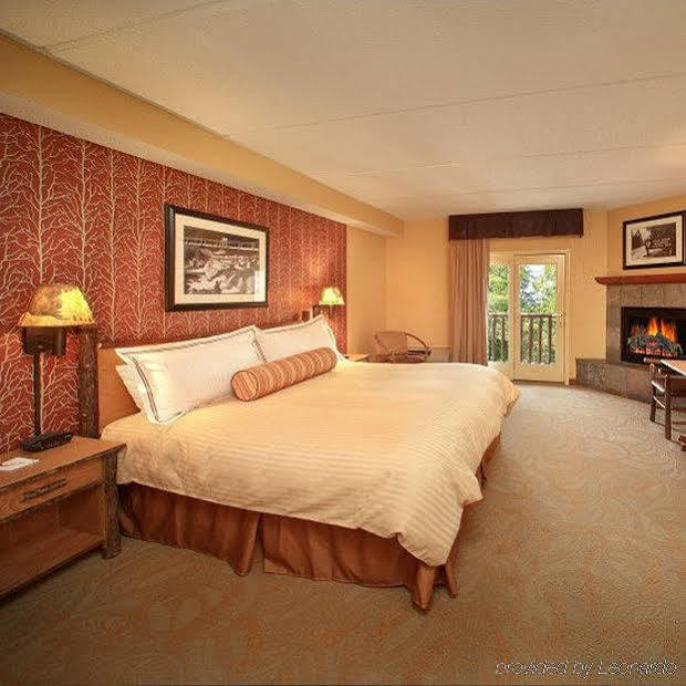 Bearskin Lodge On The River Gatlinburg Værelse billede